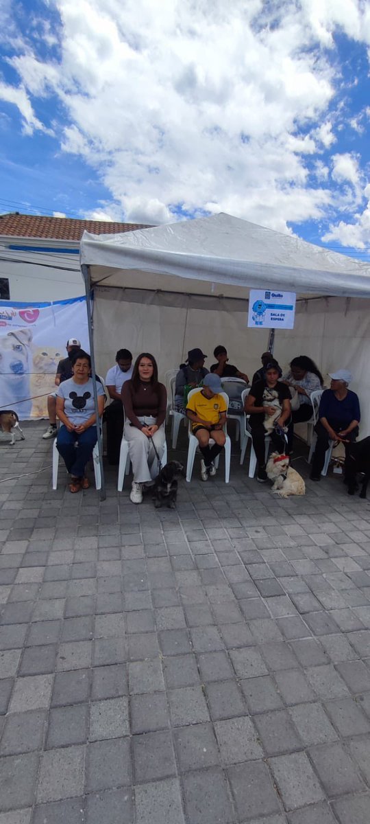 UBAQuito's tweet photo. Además, 100 personas fueron sensibilizadas sobre la tenencia responsable y la normativa vigente, y conocieron más sobre los servicios que ofrece la UBA para la fauna urbana. 📚🐕‍🦺

Seguimos acercando nuestros servicios a los barrios 🐾

#QuitoSalud #MunicipioDeQuito https://t.co/GJq5AP122H
