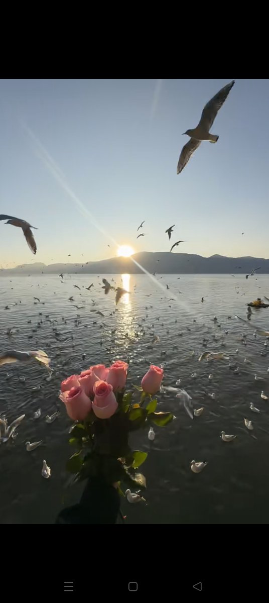 tima_debila's tweet photo. Woke up to golden sunlight streaming through the window of a tiny seaside cottage, sipping warm local tea while seagulls chirped outside—this is the slow, perfect magic of a coastal weekend escape. https://t.co/5LBigr53KF