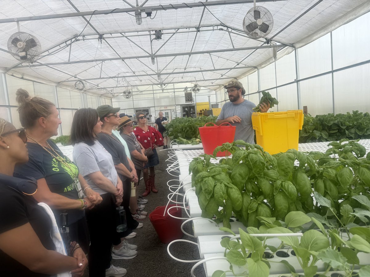 STEMcobb's tweet photo. #STEMCobb teachers had the opportunity to get hands-on for PL today at the KSU Field Station hydroponics lab! 🌱 They focused on life science &amp; math standards that apply to this sustainable farming approach &amp; got to take plants and seeds back to their labs! https://t.co/8IfXJq361F