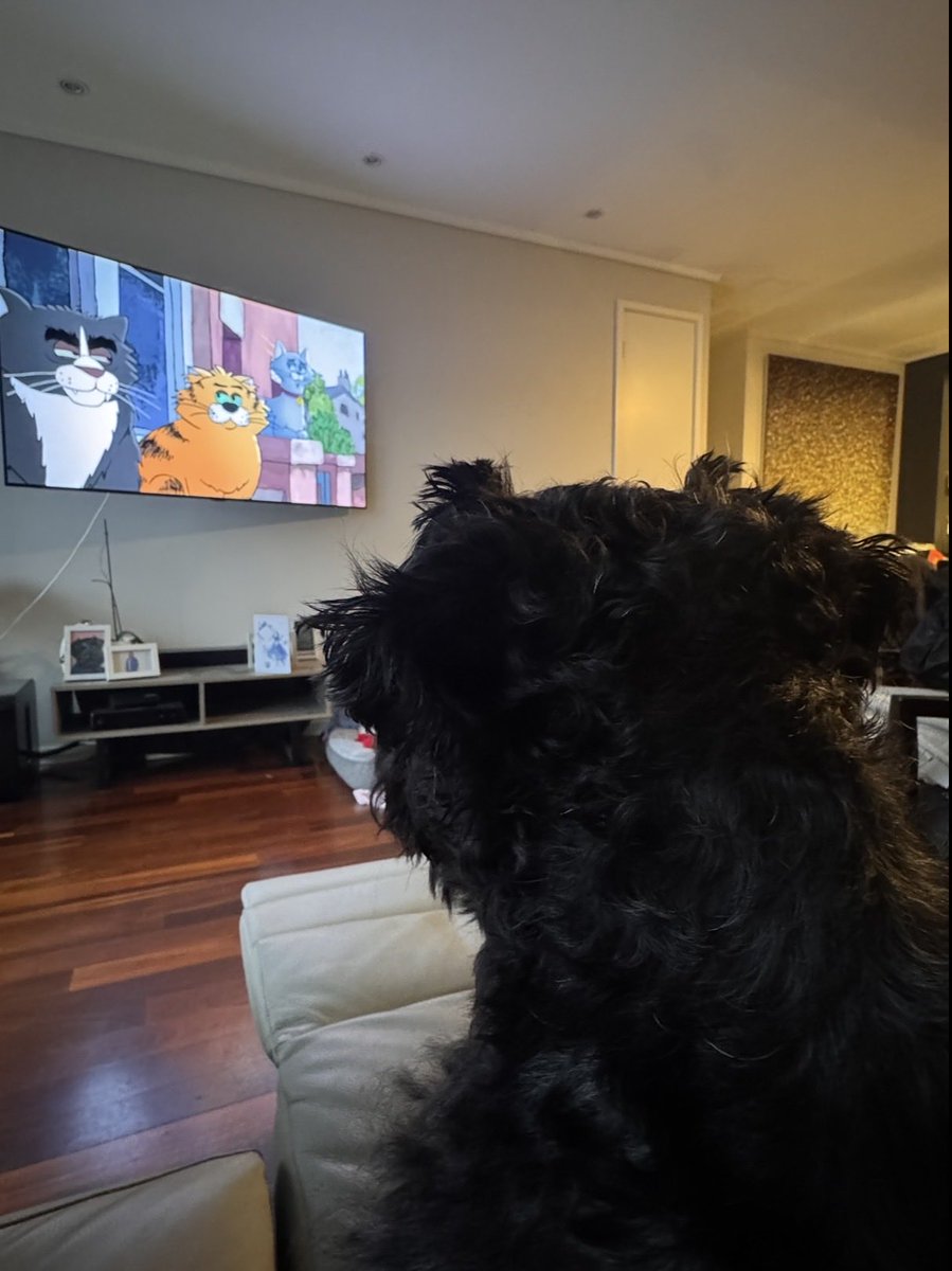 TobyOneKenobiii's tweet photo. @rickygervais 🇦🇺 https://t.co/yqni80jWJ2