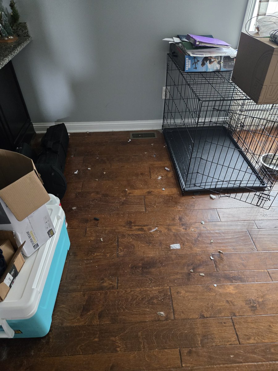 SheikahTheWolf's tweet photo. Here's other pictures for proof they left in a hurry i took these as they were mid moving out https://t.co/QDBTWZ3QIx