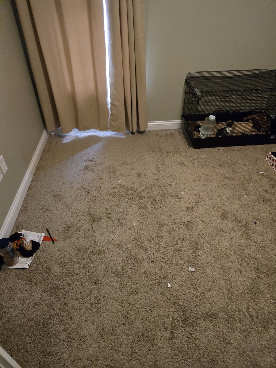 SheikahTheWolf's tweet photo. Here's other pictures for proof they left in a hurry i took these as they were mid moving out https://t.co/QDBTWZ3QIx