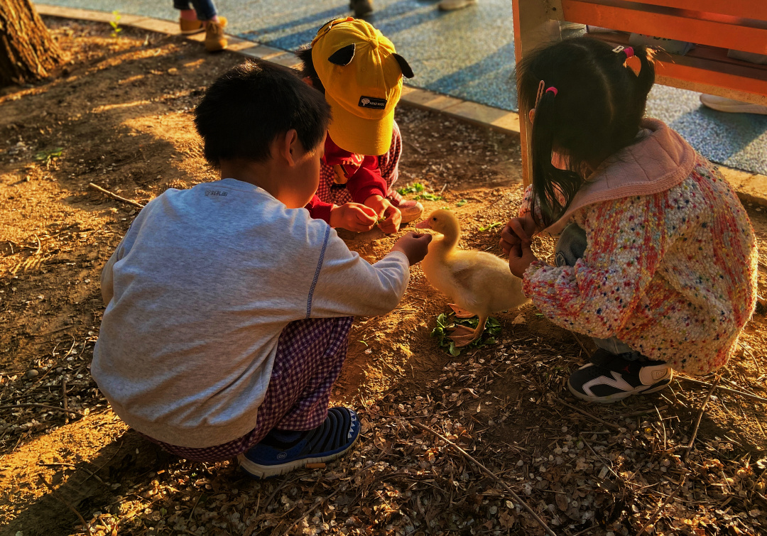 Tavares0303's tweet photo. [Today’s fun with my mini linguist!  We played “animal sounds charades” – my kid’s snort for a pig had me cackling. Quality time = best time! ] https://t.co/0Q4tevjPnC