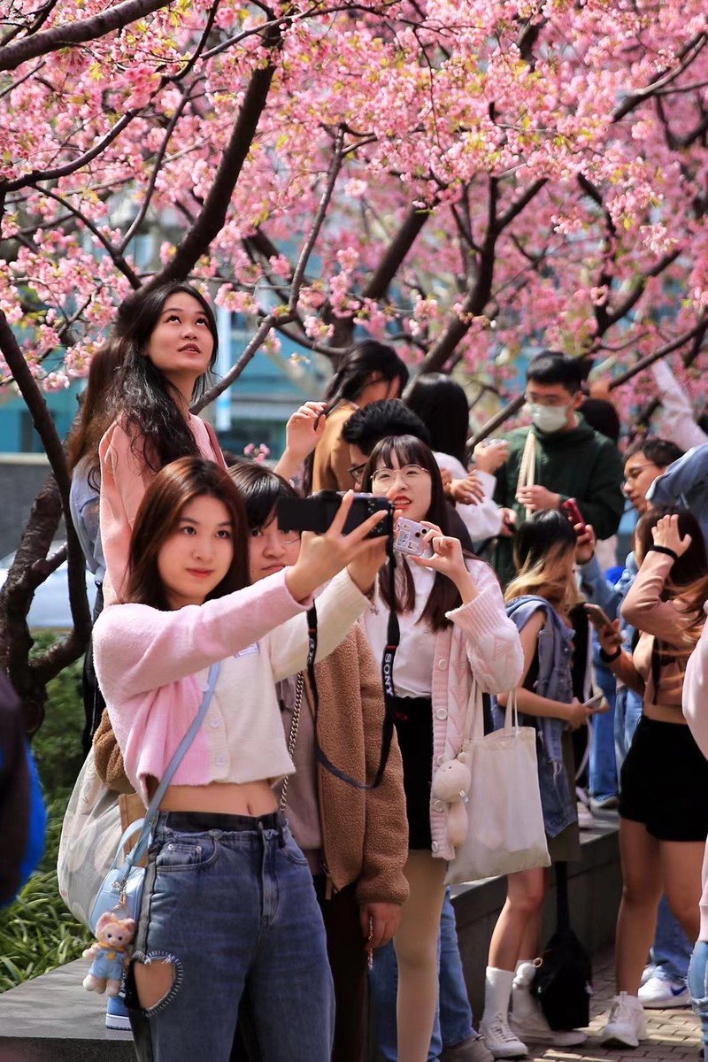 KumarSitharam's tweet photo. Join our Campus Photography Club’s afternoon shoot at the city park this Sat! Capture spring vibes, meet fellow shutterbugs, and get a free photo editing guide. Sign up via our link in bio—spots limited! https://t.co/OKXws2J2wj