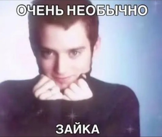 natsumior's tweet photo. я устала деградировать, дайте друзей уже. чувствую уже себя не нишево, а нищево https://t.co/wtVa1lbM4Q