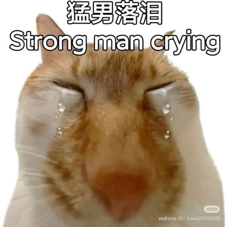 cynawk tweet picture