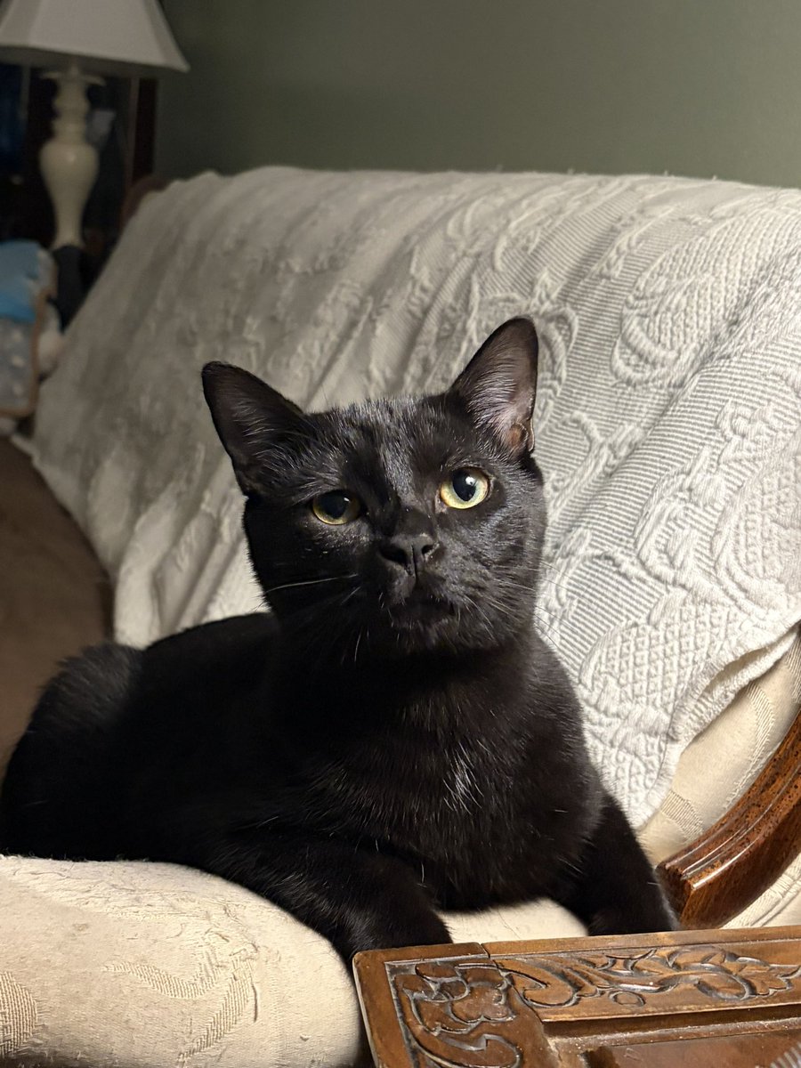 fri3ndra's tweet photo. huge day for guys named leo https://t.co/PtrIF3K0ec