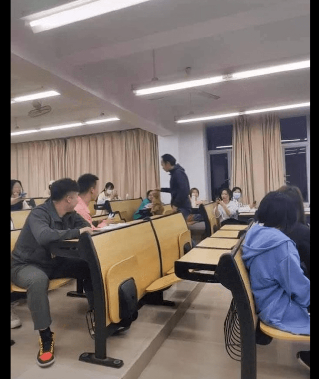 Heartfor51's tweet photo. My group mate accidentally presented our project’s cat video draft instead of the final deck to the professor. The room went dead silent… then the prof cracked a smile.  #OopsDay https://t.co/hwkkL2kjp9