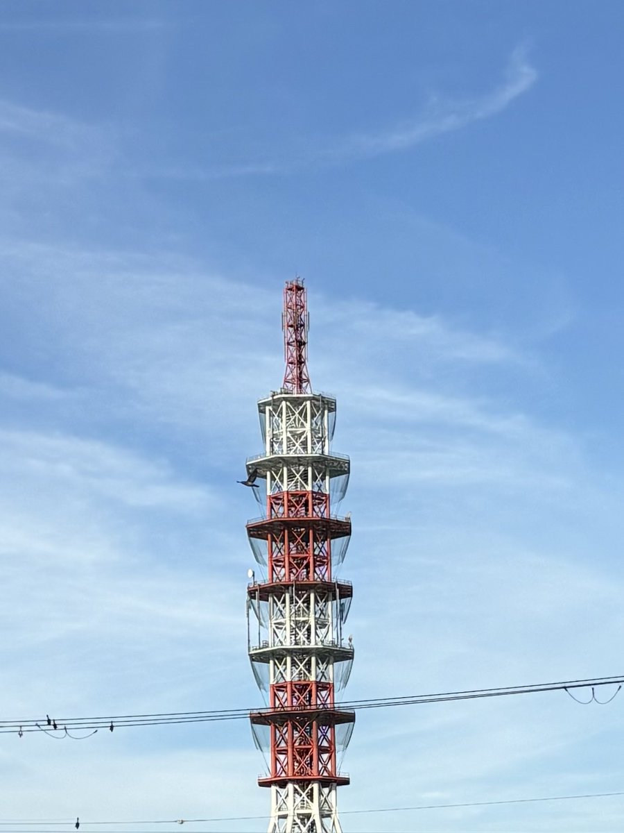 no1kamo's tweet photo. おはようございます。

盆休み明けさすがにバタバタしました。

月末までかなりハードになりそう(^_^;

想定外に仕事が重なってしまってます。

落ち着いて一つずつやっていかなくては。 https://t.co/njaFEVJWY0