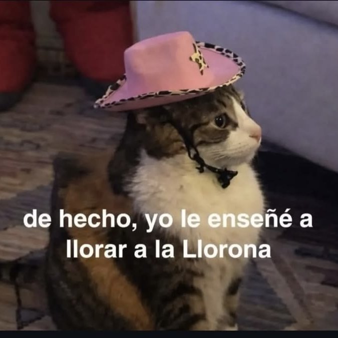 DrSylveonPsyq's tweet photo. Psicologa: Desde cuando te sientes triste?

Yo: ... https://t.co/av4JwQxyKw