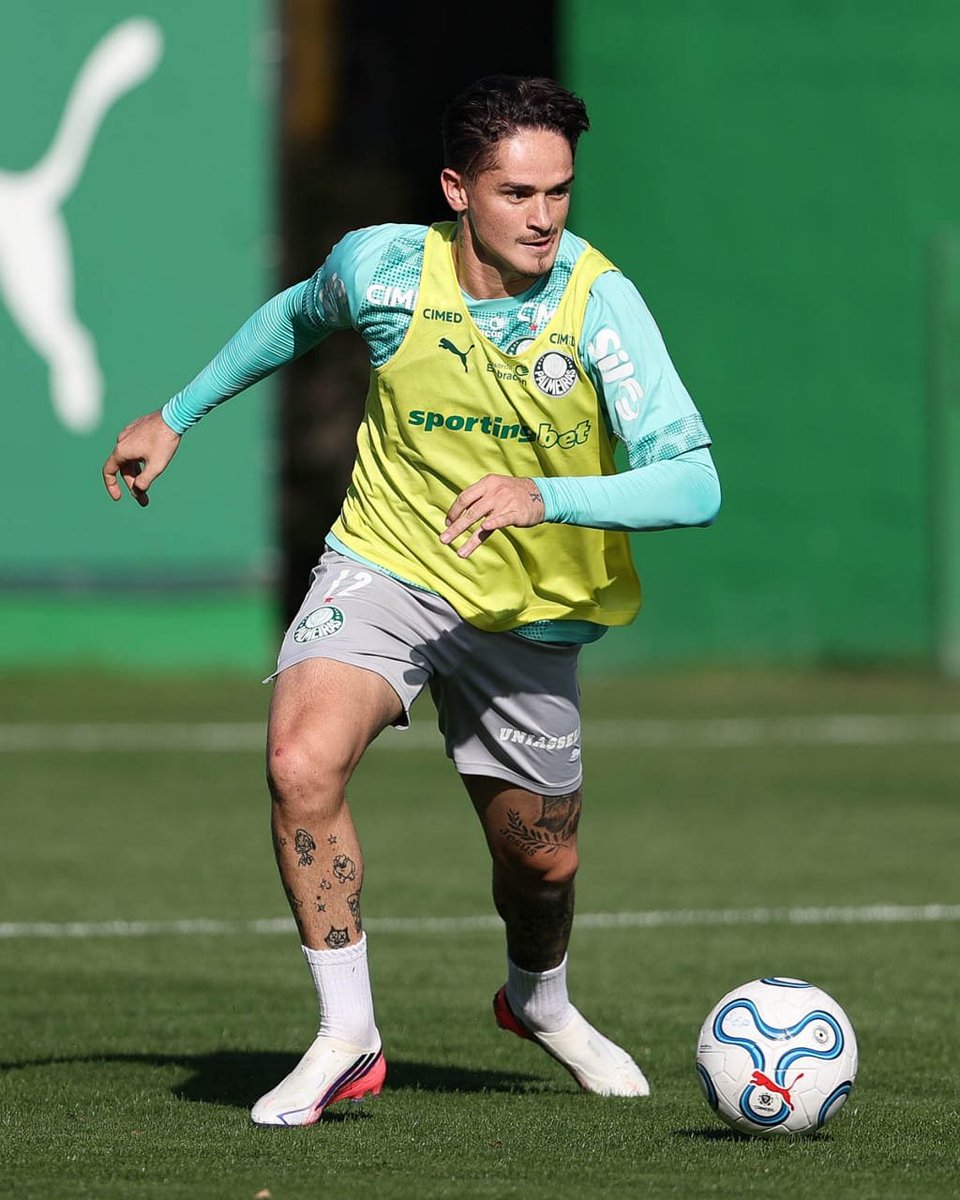 porco_narede's tweet photo. O camisa 12 deve reforçar o Palmeiras para o confronto decisivo no jogo de volta contra o Cerro Porteño pela Libertadores
#Palmeiras #PorconaRede #Khellven
Foto: Cesar Greco/Palmeiras https://t.co/5nDEjTMUpS