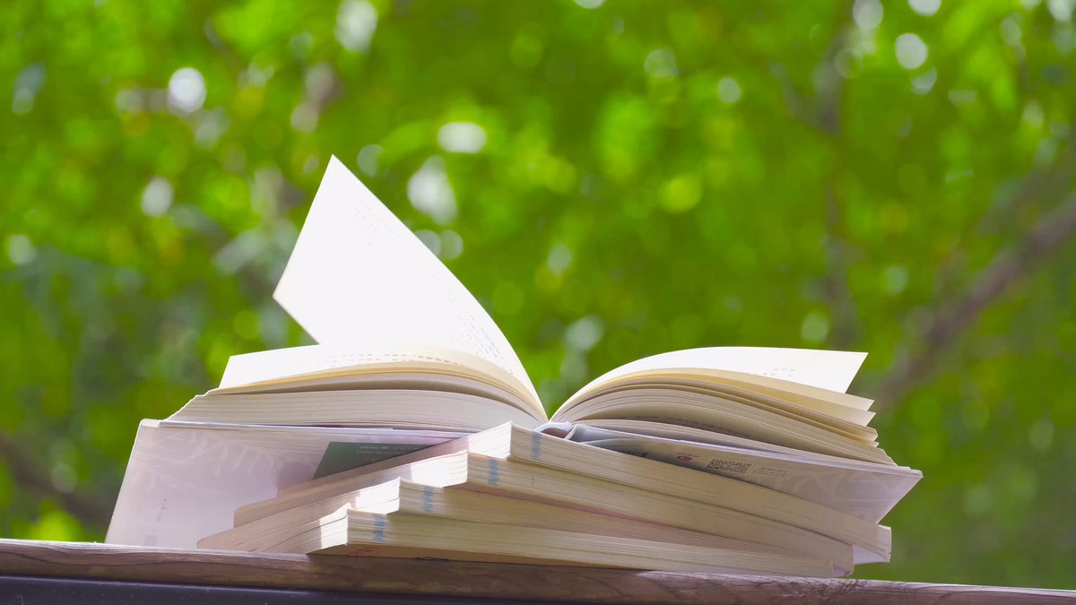 mags2019's tweet photo. Lost in a good book, where every page is a new adventure. What's your current read https://t.co/SRCyrUSDa6