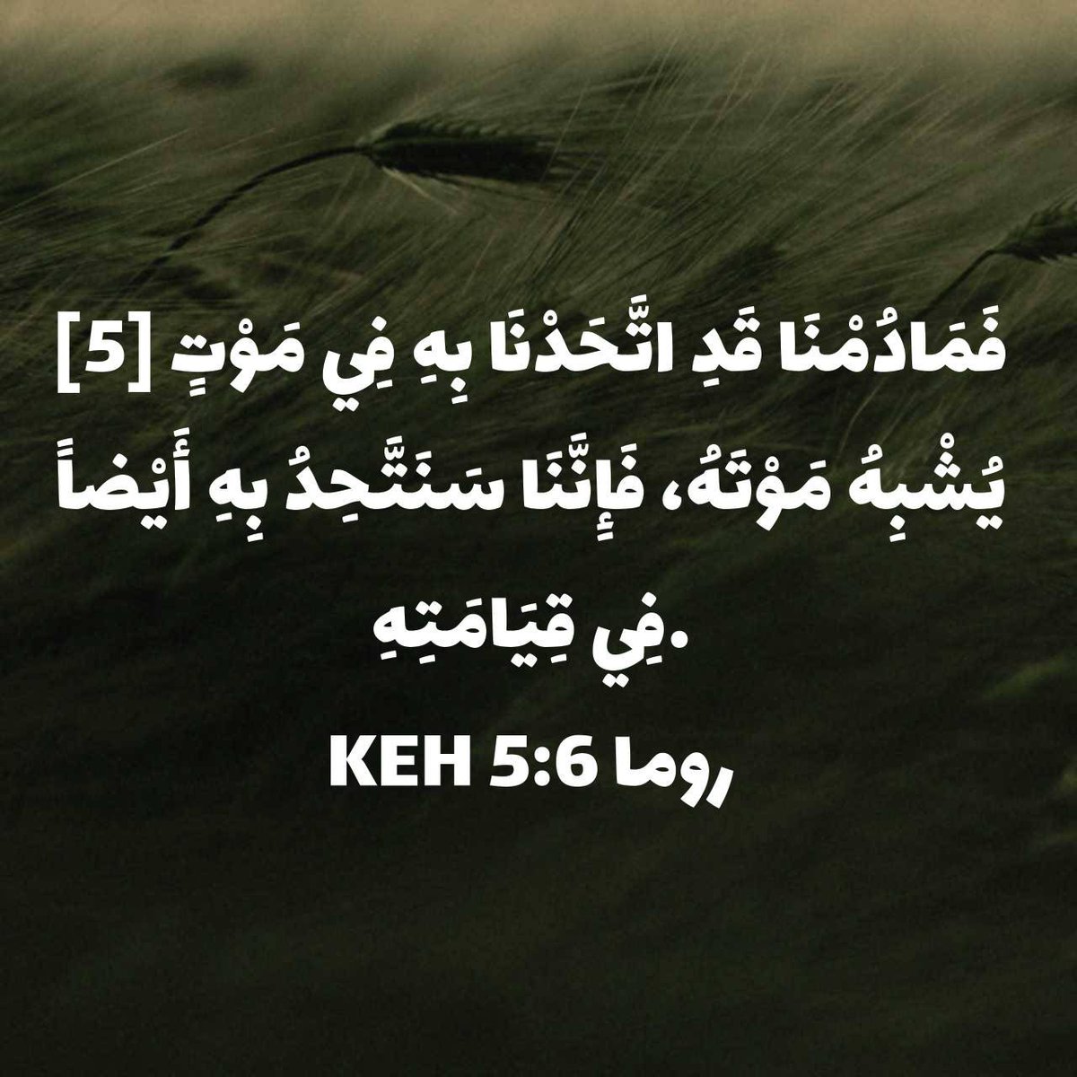 Atef75748951's tweet photo. روما 6:5 KEH
[5] فَمَادُمْنَا قَدِ اتَّحَدْنَا بِهِ فِي مَوْتٍ يُشْبِهُ مَوْتَهُ، فَإِنَّنَا سَنَتَّحِدُ بِهِ أَيْضاً فِي قِيَامَتِهِ. 

https://t.co/R0R8UQexgW https://t.co/nEhQdR38sk