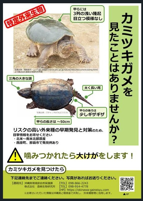 qsfkbwIhuWLhnjI tweet picture