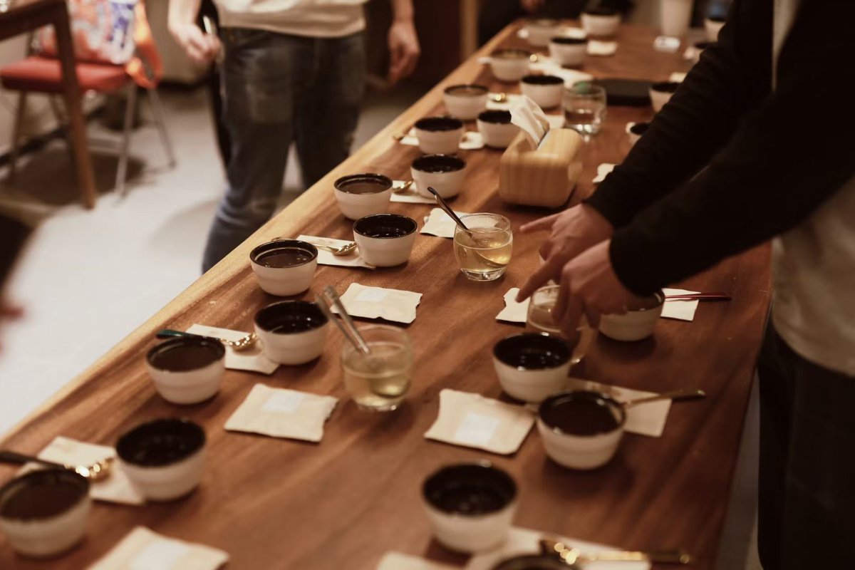 KanzallahS's tweet photo. Just tried the new immersive coffee tasting experience at the downtown roastery—blind brewing sessions and flavor pairing tricks blew my mind. Never seen coffee this way before!， https://t.co/IenkIi85YO
