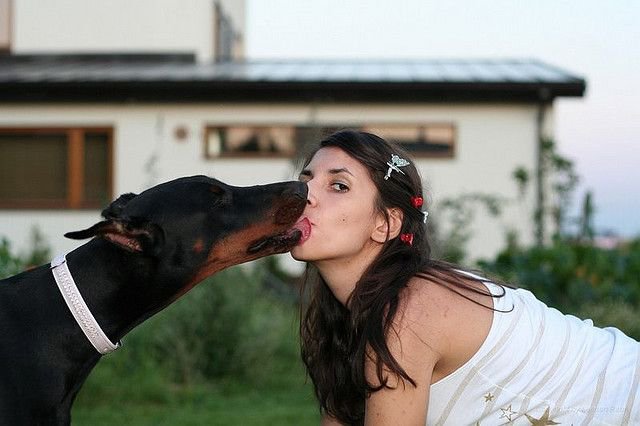 Mize11188845's tweet photo. Zoo 🐶📺
#DogKnot #KnotDeep #ForbiddenFetish #Zoo #Beastality #K9Content
Dm👉🏾 https://t.co/ikVHmAfl0L https://t.co/WEmgaI7Sqb