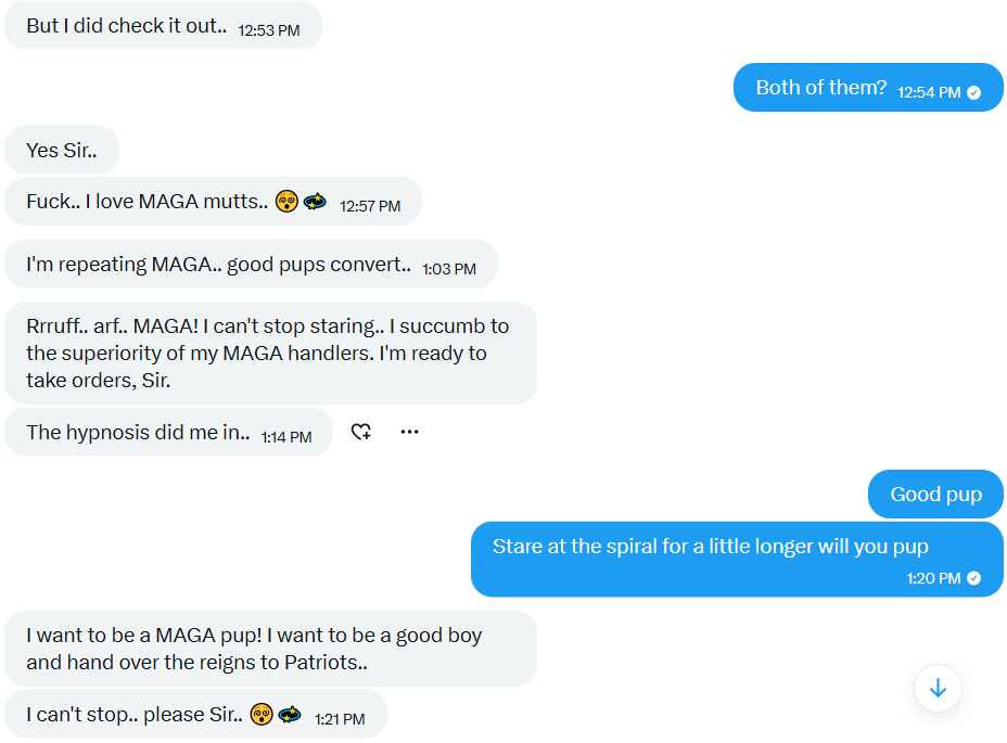 magaizationrp tweet picture