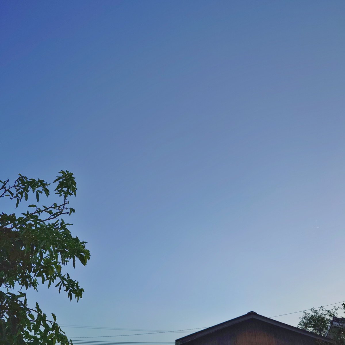 maggensintet's tweet photo. おはようございます☀
↑35

だいぶ回復したがだるさがある

7月中旬、ネットで高級品ではないがかっこいいと思って買った腕時計がまだ届かない
人気で品薄らしい

今朝の石
木と並べてみた
この石はたぶん3億年前の木
俺が死んで家を潰し整地したあとは地球が無くなるまで埋もれ続ける

いい火曜日を https://t.co/QsyG8WSH7U