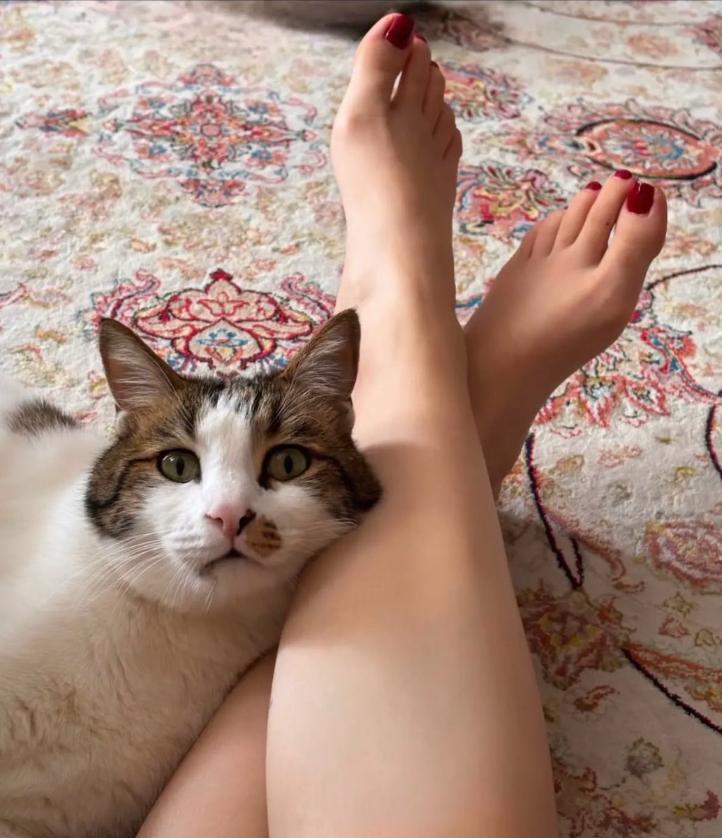 Serpilimsii's tweet photo. neye bu kadar şaşırmış olabilirsin ki 🤦🏼‍♀️ https://t.co/NQlYOw4JdL