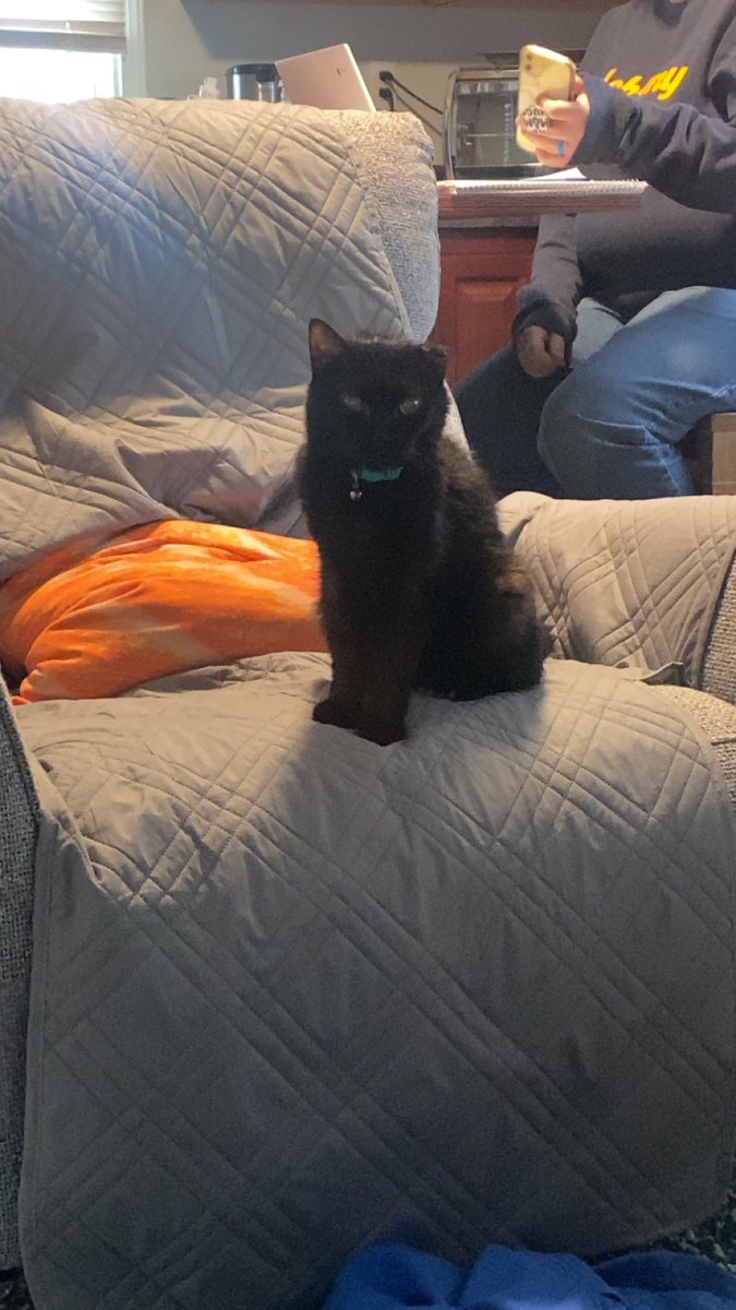 ItMustBeMiranda's tweet photo. 2 years without my srunkly baby and I miss her everyday https://t.co/sW2rTBfeWH