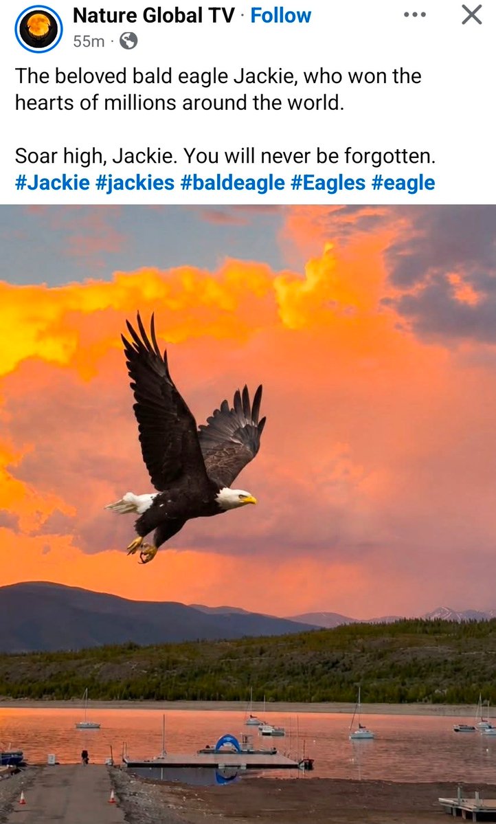 hello1278p's tweet photo. Jackie will be headline news trend again and blink and ATH soon https://t.co/4fbZJGflKv