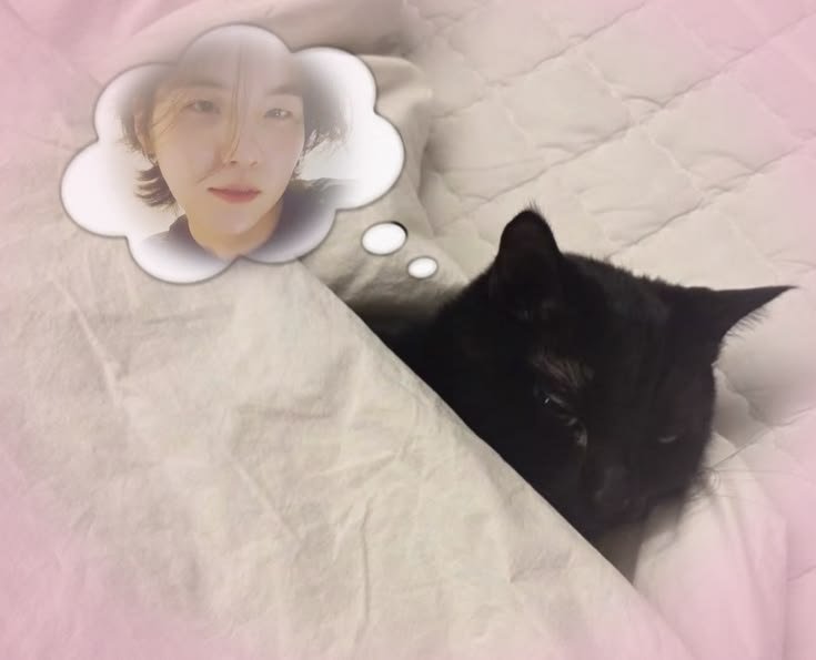 YOONGlYOONGI tweet picture