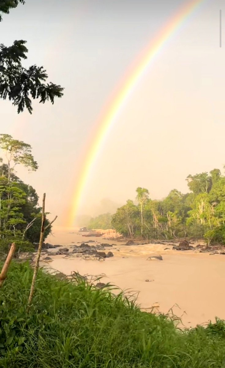 Fritz_A_Sanchez's tweet photo. Un hermoso arcoíris sobre el río Icabarú 🌈... Una escena natural que debería ser motivo de admiración, pero se ve interrumpida por las balsas mineras ilegales que destruyen, sedimentan y contaminan su cauce

La belleza de la naturaleza frente a la devastación del extractivismo aurífero ilegal 💔

#SurDelOrinoco 
#AmbienteSinDerechos