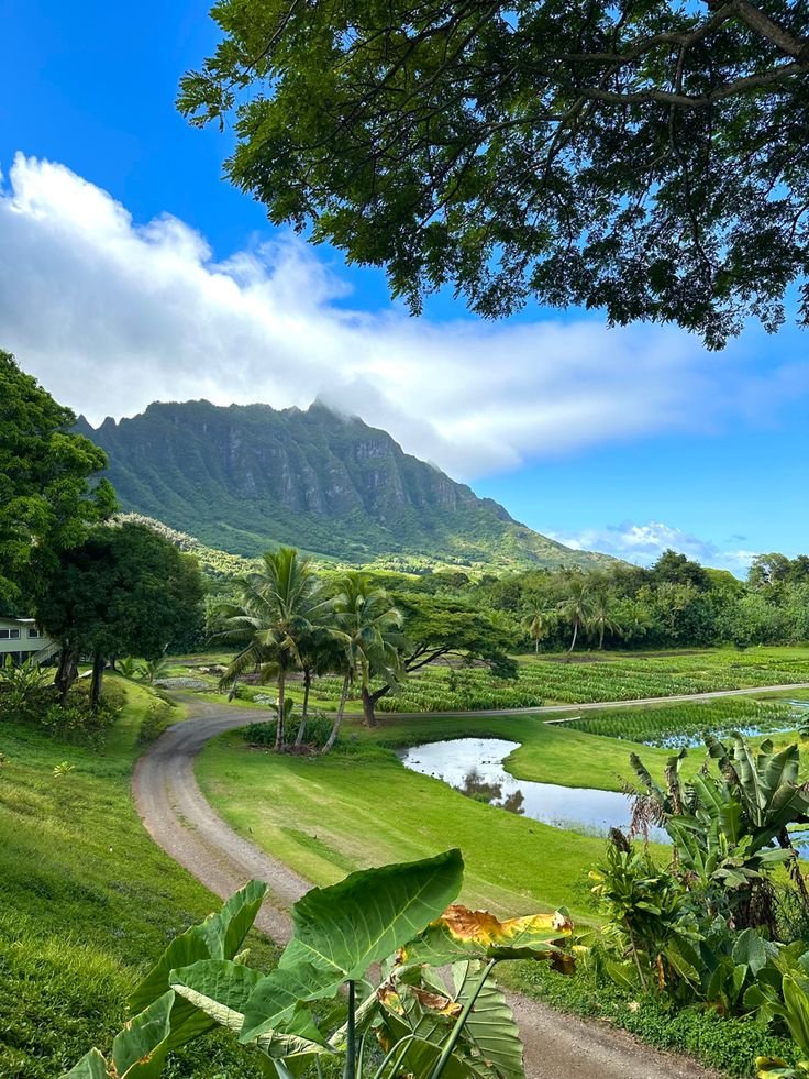 echoesofworld's tweet photo. Hawaii 🌴 https://t.co/IxdyFMxFXt