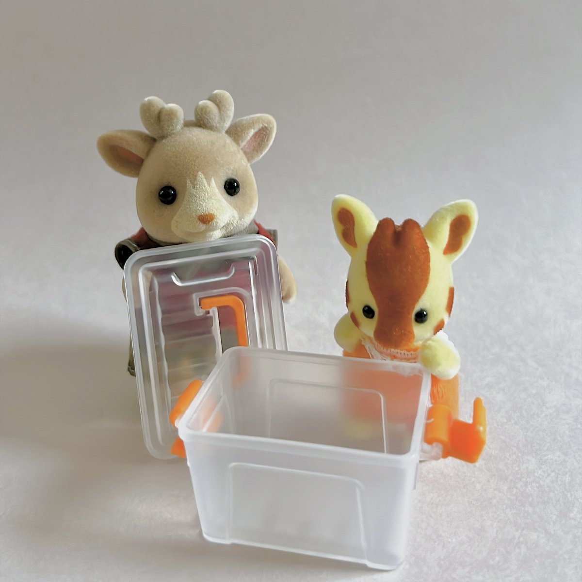 eco_sylvanian's tweet photo. 何入れようかな〜〜🗃️ https://t.co/GU6kWzkIxt