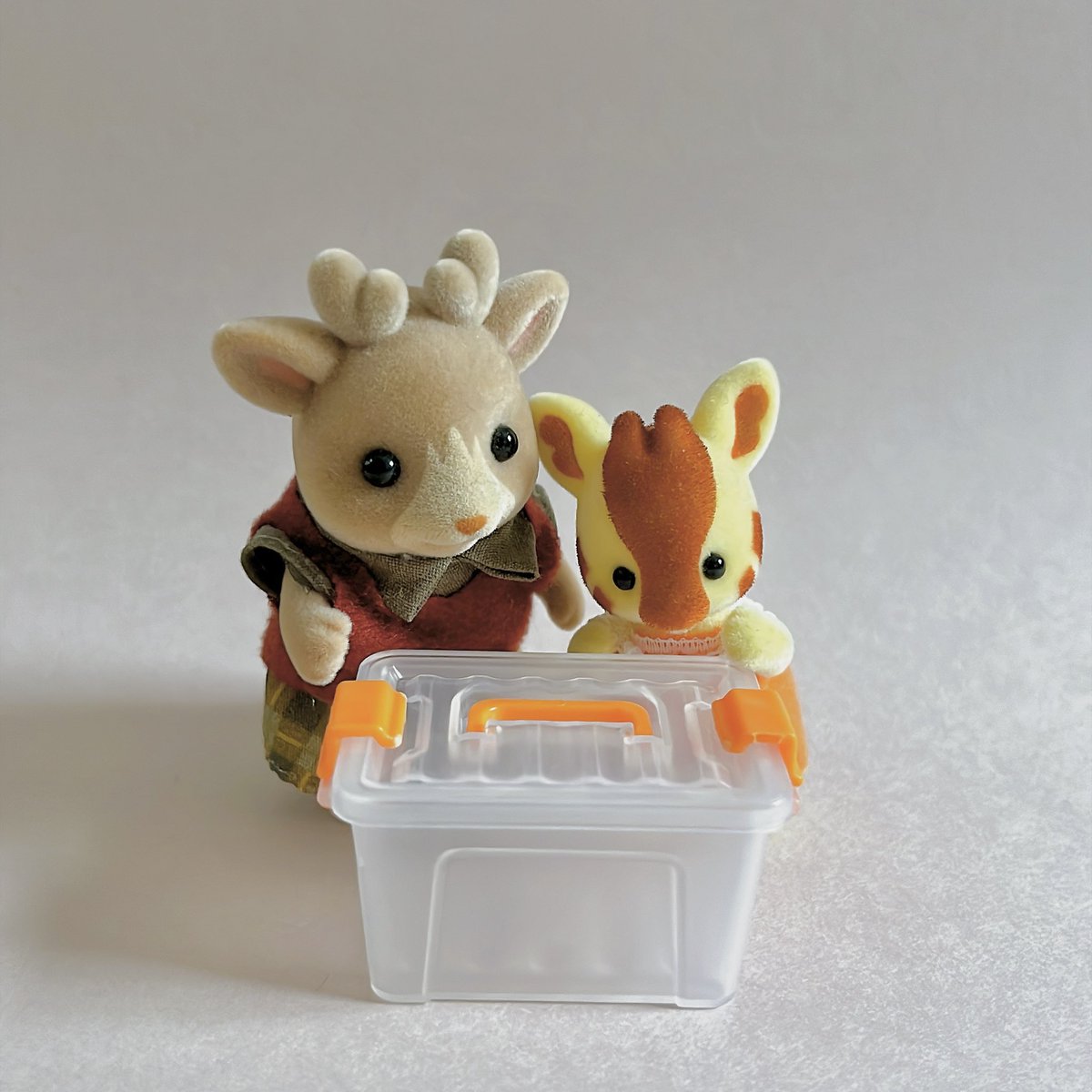 eco_sylvanian's tweet photo. 何入れようかな〜〜🗃️ https://t.co/GU6kWzkIxt