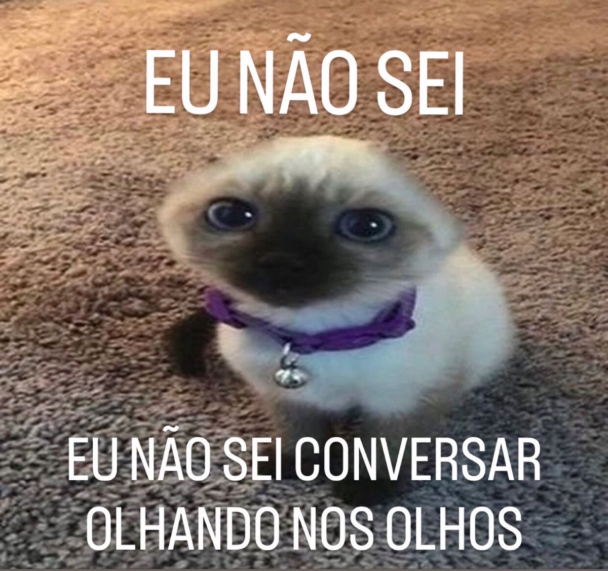 gatinarios's tweet photo. https://t.co/Nd4ArEhh2g