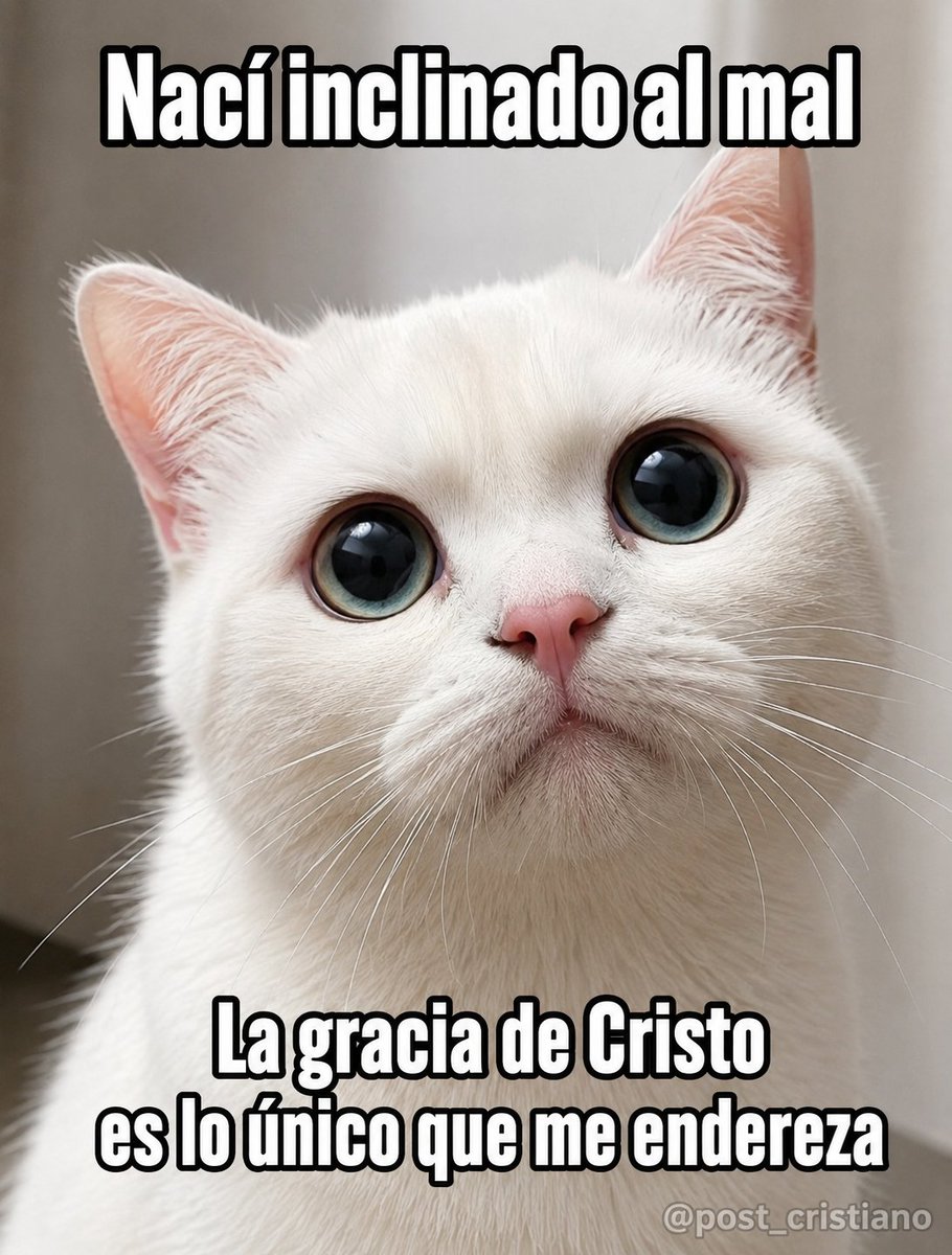 post_cristiano's tweet photo. https://t.co/7m0bQRkrOJ
