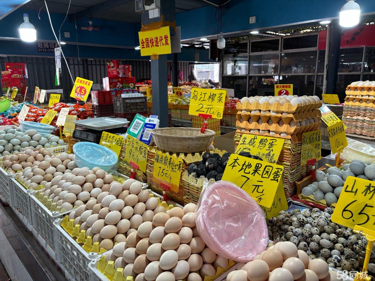 vinayku06692364's tweet photo. Fresh seasonal veggies u0026 free-range eggs restocked at the local market! Grab yours before they sell out—perfect for tonight’s healthy meal prep!， https://t.co/ADPeEjFQMG