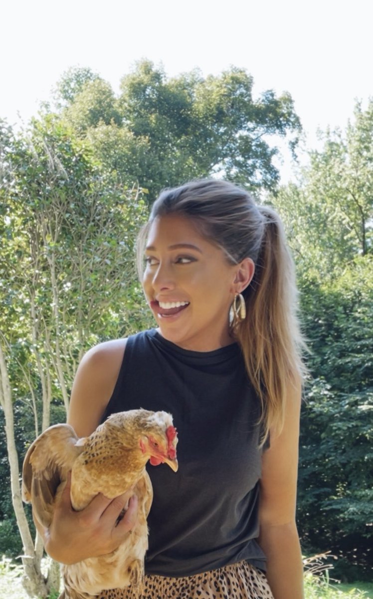 __my__at's tweet photo. Sometimes you have to grab a chicken because touching grass isn’t enough 😌 https://t.co/7T6X0fSbGQ
