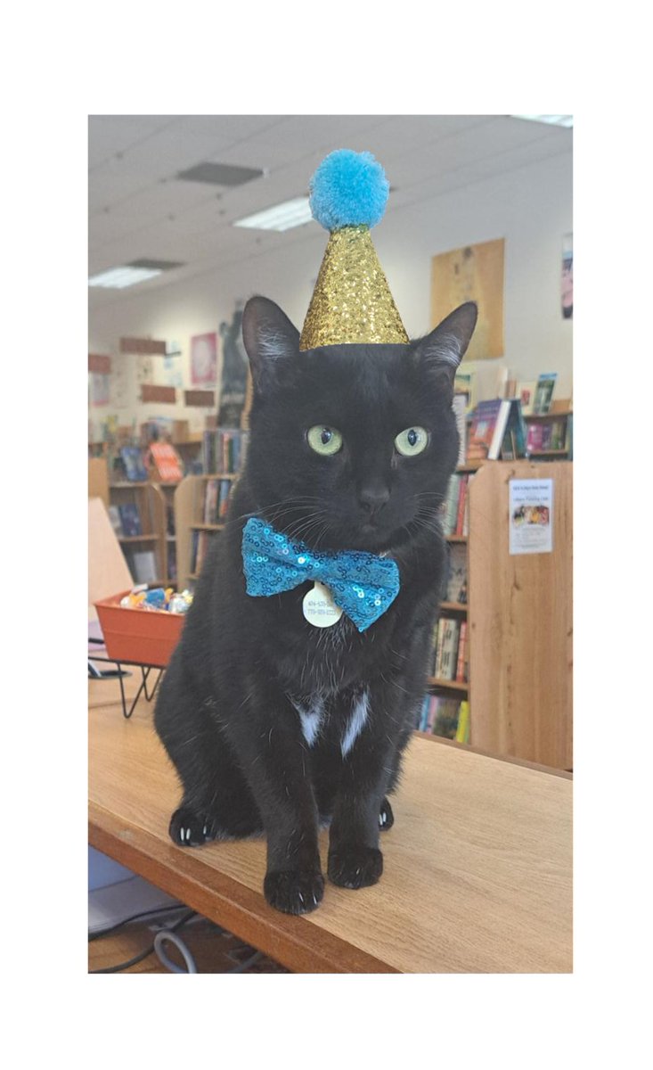 TallTalesATL's tweet photo. For #NationalBlackCatAppreciationDay, Mr. Marlowe wants to remind you that we are celebrating our 47th birthday this August and have events every weekend.
#bookstorecat #blackcatsofinstagram #booksandcats #catsandbooks https://t.co/6cmWUenrs4