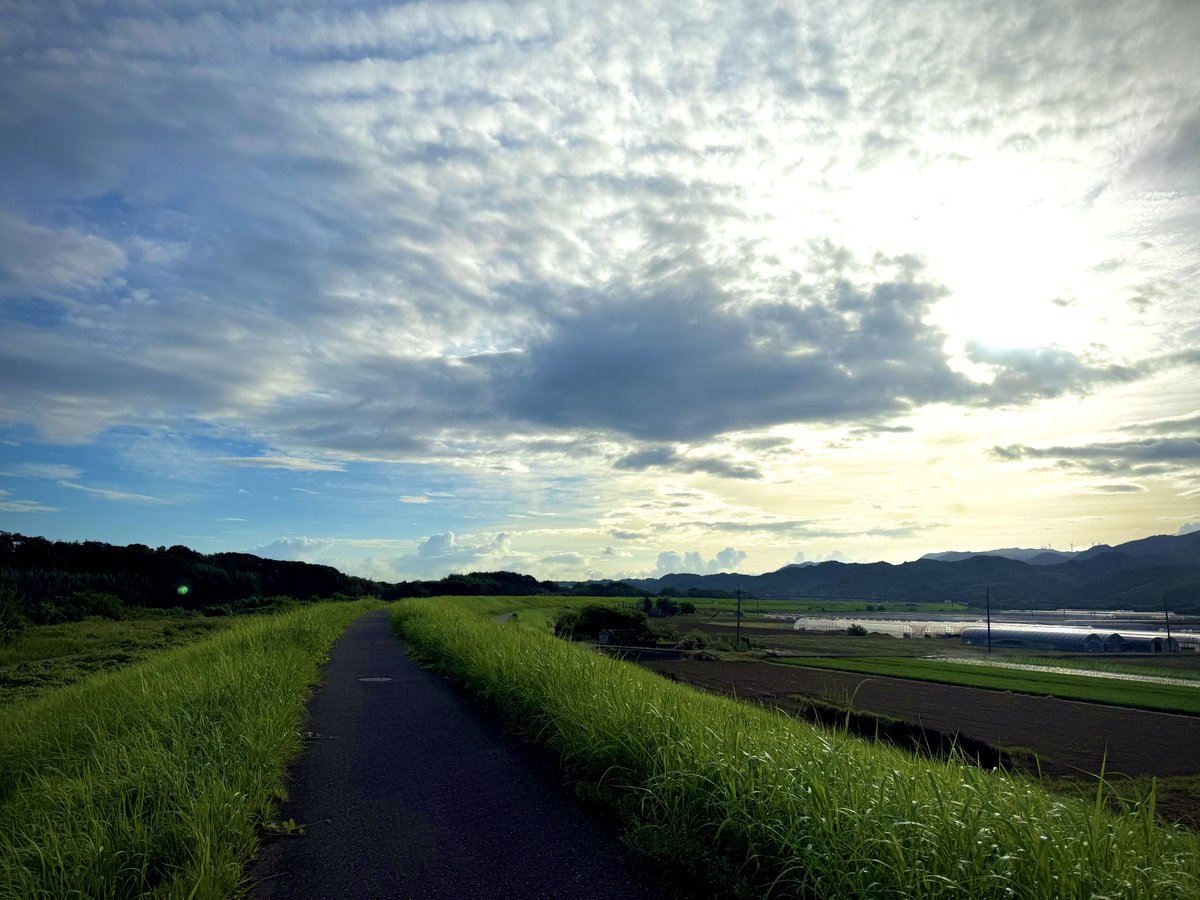 Photorrad's tweet photo. 事業所への通勤経路がぼくのなつやすみ過ぎる https://t.co/TkH5b8kqgG