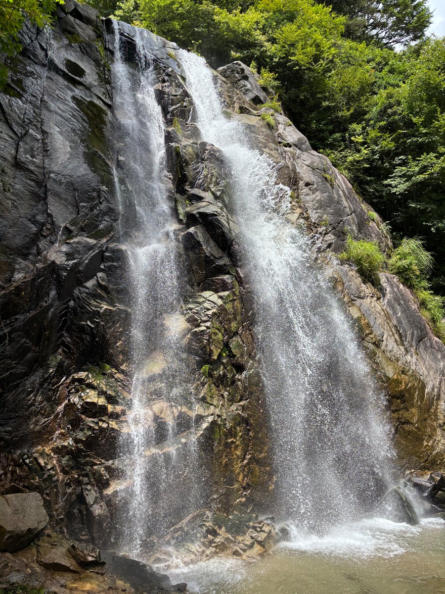 nomuraou's tweet photo. 不動滝（長野県高森町）♪
大迫力！水しぶきが涼やか♪

#不動滝 #高森町 #滝 #名瀑 https://t.co/hxQm3MVyEB