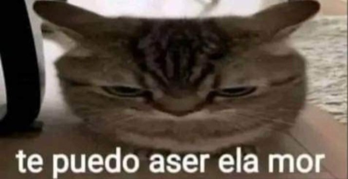 xMeowwyx's tweet photo. Yo con ese muti :333 https://t.co/nIP17O46lo