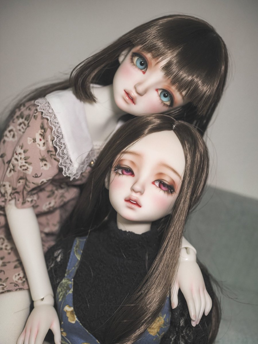 Soracolorfull's tweet photo. カノンとジーグ https://t.co/A5OdHpo8iV