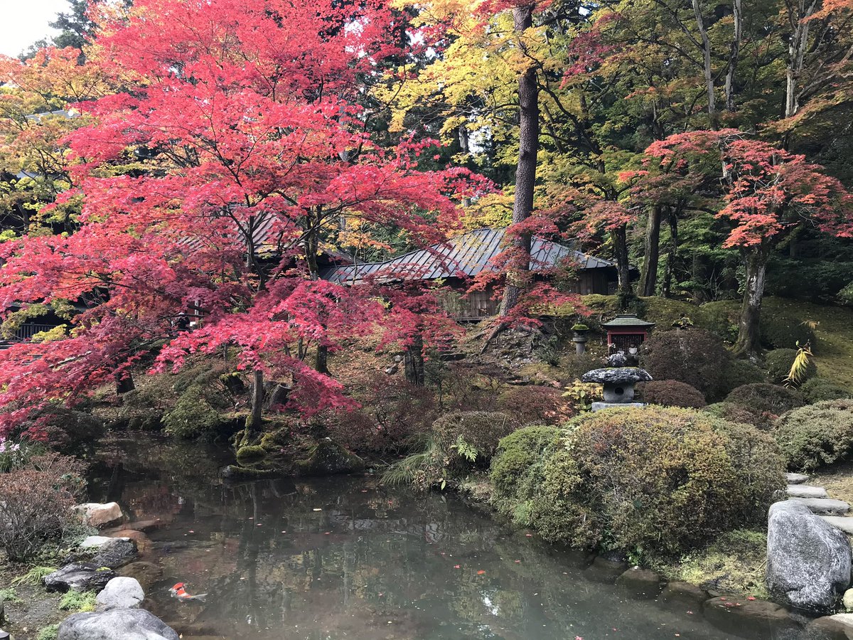 mt_hoken's tweet photo. #栃木県　#日光市　#日光山輪王寺　#紅葉 https://t.co/u1SUkM6jal
