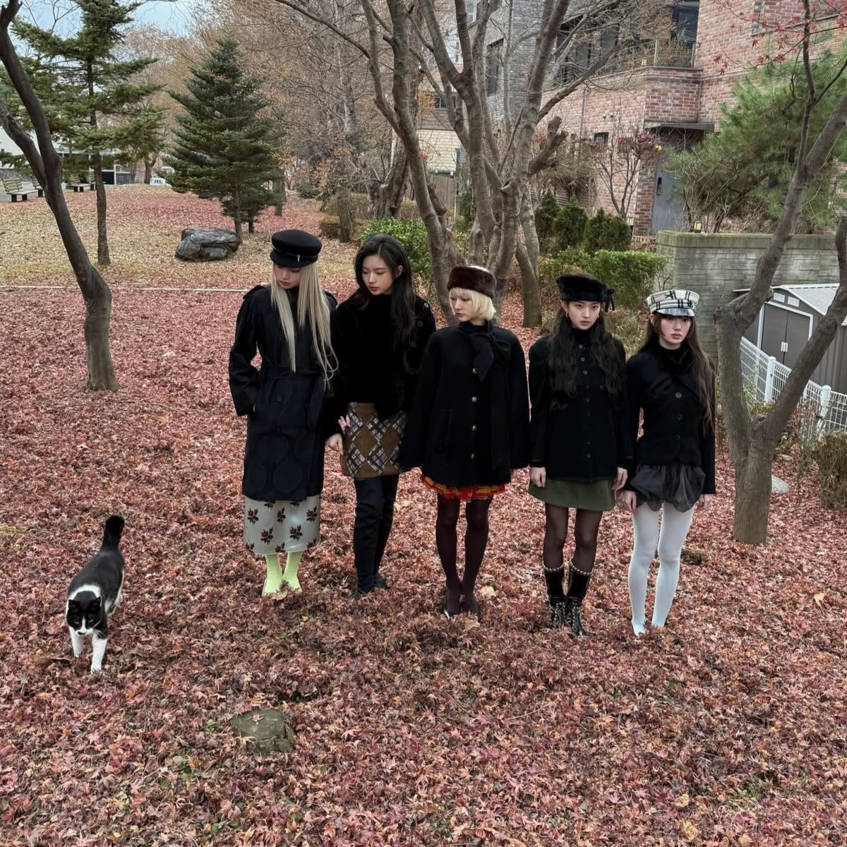loonharmony tweet picture