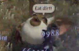 yinsanyun's tweet photo. when i die, i want to be reincarnated into a ffxiv gremlin that yells fun quotes https://t.co/hE9aumsy8L