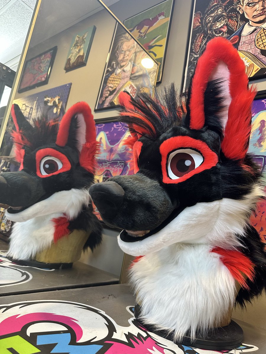 MadeFurYou's tweet photo. Schecter wolf V3 headshots! ❤️🖤❤️🖤 https://t.co/oPiLHj6Qy2