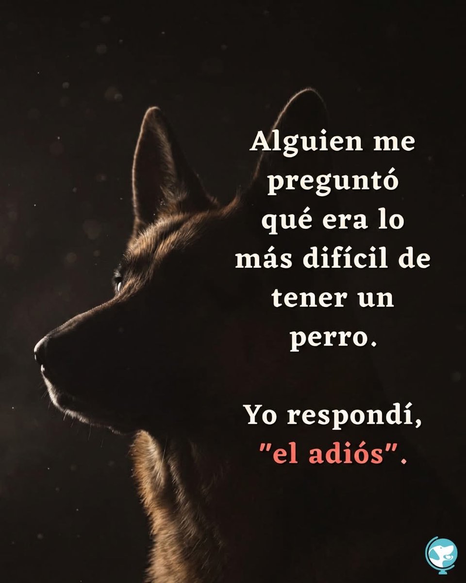 CamaraBalam's tweet photo. Puta madre,ni me lo digan. https://t.co/qex2UpNN1E