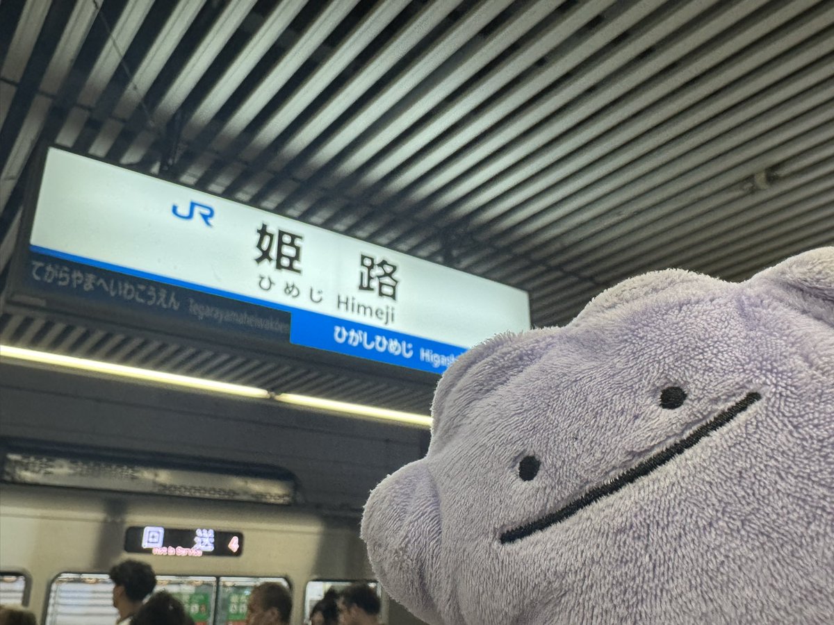 metamon_tabi's tweet photo. #メタモン
#ポケモンfit
#青春18きっぷ
\ﾓﾝﾓﾓﾓﾝﾓ🏯/ https://t.co/FTWEpJ5wPZ