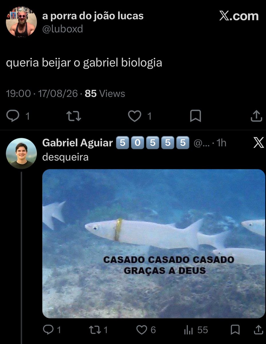 oieusoufilipe's tweet photo. MEU CANDIDATO 🫶 https://t.co/72jjOxb3VQ