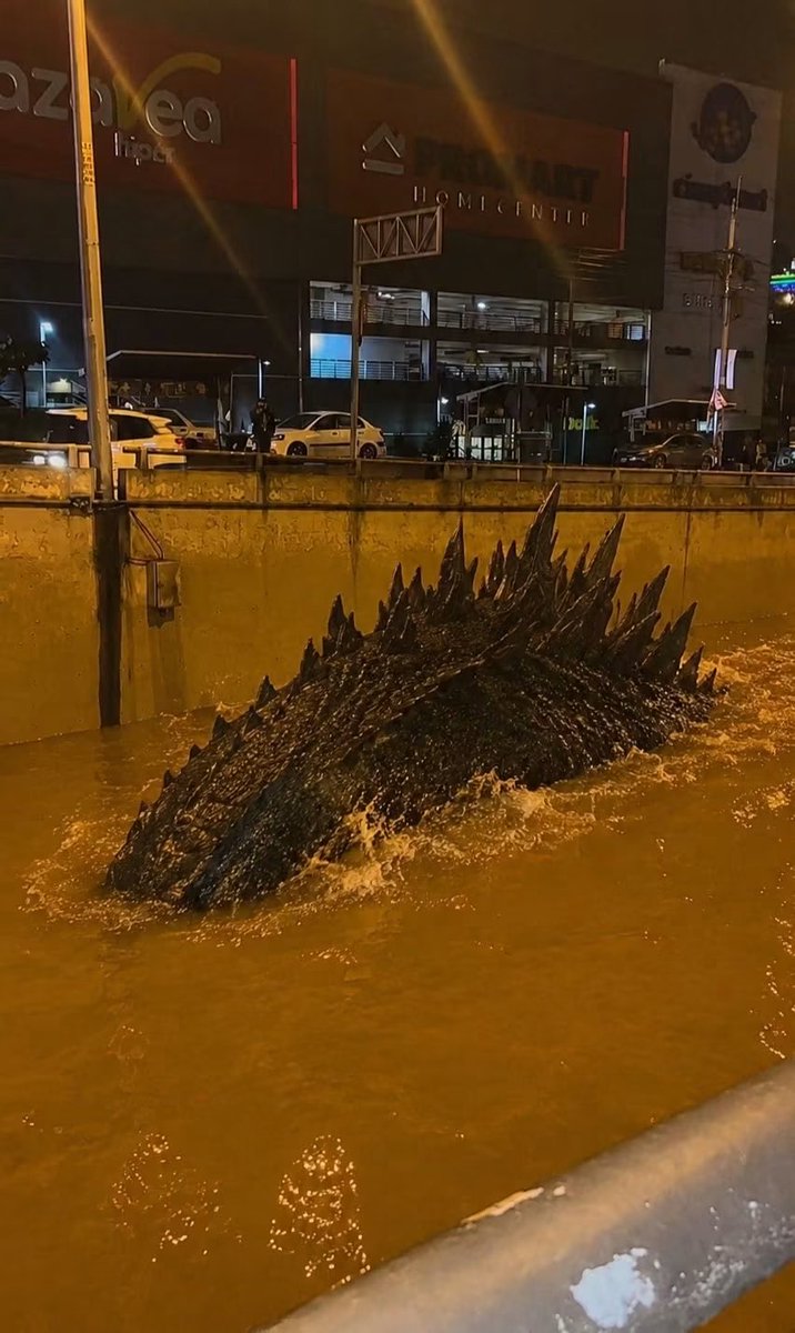 Uncafecommie's tweet photo. tampoco exageremos por un poco de agua en la rodilla https://t.co/k5kt45xMal
