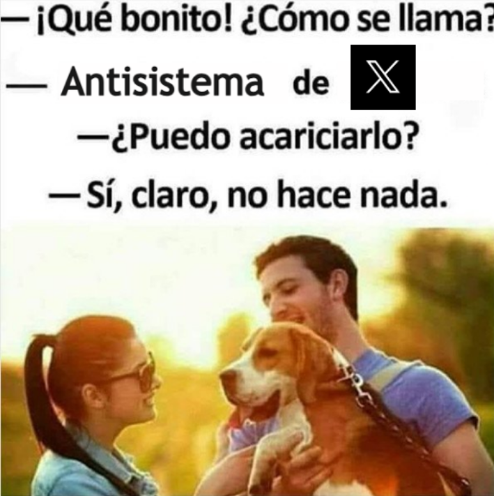 Mota_Marijuana's tweet photo. @D_Nacional https://t.co/Njp9WTddHB