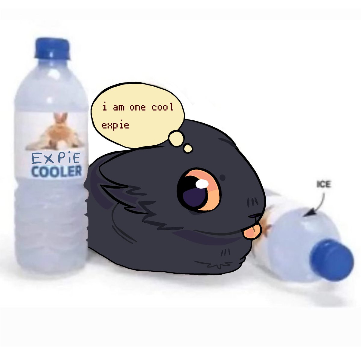 doopledoopledo's tweet photo. bradar im kind of popular media https://t.co/GVyBCBrRAX