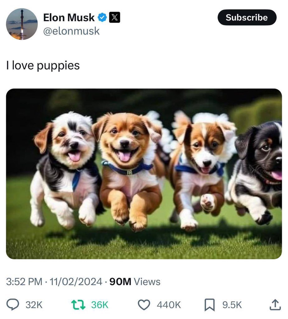 insw33's tweet photo. @okx Musk's concept puppy community
ethereum:0xcf91b70017eabde82c9671e30e5502d312ea6eb2 https://t.co/3k2RqcWfSN